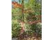 Beautiful landscaping featuring Japanese Maple, azaleas and lush greenery at 210 Sweetwater Dr, Fayetteville, GA 30214