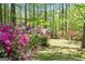 Beautiful landscaping with colorful rhododendrons in the backyard at 210 Sweetwater Dr, Fayetteville, GA 30214