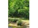 View of spacious yard with lush greenery at 6127 Floyd Ne St, Covington, GA 30014