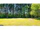 Lush green backyard surrounded by mature trees offering privacy and tranquility at 20 Rosser Rd, Mcdonough, GA 30252