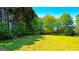 Lush green lawn provides a serene and private outdoor space at 20 Rosser Rd, Mcdonough, GA 30252