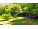 Secluded backyard space with colorful flowering azaleas, lush greenery, and scattered sunlight at 20 Rosser Rd, Mcdonough, GA 30252