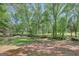Expansive backyard featuring mature trees and a flowing creek at 40 Butler Bridge Dr, Mcdonough, GA 30252
