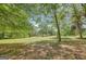 View of large grassy lot with multiple trees and foliage providing a private, secluded atmosphere at 40 Butler Bridge Dr, Mcdonough, GA 30252
