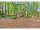 Backyard shed surrounded by mature trees and a natural pine straw ground cover at 203 Silverwood Way, Peachtree City, GA 30269