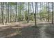 Heavily wooded property provides privacy at 203 Silverwood Way, Peachtree City, GA 30269