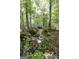 A serene creek flows through a lush, wooded landscape, creating a tranquil natural setting at 230 Haynes Rd, Moreland, GA 30259