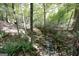 Picturesque creek flowing through a lush, wooded area with ferns and natural rock formations at 230 Haynes Rd, Moreland, GA 30259