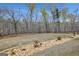 Large backyard with mature trees, providing a private and serene outdoor space at 270 Blue Point Pkwy, Fayetteville, GA 30215