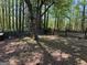Fenced backyard with mature trees and grass at 363 Palmetto Rd, Tyrone, GA 30290