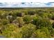 Aerial view of wooded area with a home nestled among the trees at 145 Carrington Ln, Brooks, GA 30205