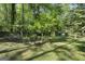 Expansive backyard featuring lush greenery and natural shade, perfect for outdoor activities at 180 Paces Dr, Fayetteville, GA 30215