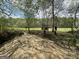 Scenic land featuring expansive green field, mature trees and small tractor at 4383 Pool Rd, Winston, GA 30187