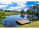 Picturesque pond view, with a wooden dock, geese, and mature trees along the perimeter of the property at 4383 Pool Rd, Winston, GA 30187