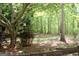 Lush backyard featuring mature trees and beautiful landscaping at 206 Pine Cedar Cir, Brooks, GA 30205