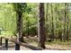 Picnic table nestled among large shade trees, offering a serene spot in the wooded backyard at 206 Pine Cedar Cir, Brooks, GA 30205