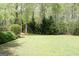 Expansive backyard featuring lush lawn, mature trees, and natural landscaping at 206 Pine Cedar Cir, Brooks, GA 30205