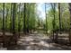 Scenic tree-lined driveway leading to a charming home, framed by lush greenery and a rustic gate at 206 Pine Cedar Cir, Brooks, GA 30205