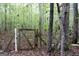 A wooden gate leading into a wooded area at 206 Pine Cedar Cir, Brooks, GA 30205
