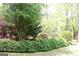 Yard featuring a variety of bushes and shrubs and tall trees in the background at 206 Pine Cedar Cir, Brooks, GA 30205