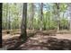 Lush wooded area with mature trees and natural foliage at 206 Pine Cedar Cir, Brooks, GA 30205