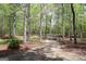 Picturesque wooded area with mature trees and natural path at 206 Pine Cedar Cir, Brooks, GA 30205