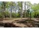 Picturesque wooded area with mature trees and a partial view of wooden fencing at 206 Pine Cedar Cir, Brooks, GA 30205