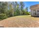 View of the backyard showing the lawn and the side of the house at 202 Willow Rock Pt, Fayetteville, GA 30215