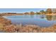 Scenic view of a calm pond reflecting the sky, bordered by natural, grassy landscapes at 175 Central Ave, Fayetteville, GA 30214