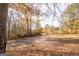 View of the wooded lot with mature trees and a driveway at 98 Almon Church Rd, Covington, GA 30014