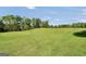Expansive grassy backyard featuring newly planted trees ready to provide shade and beauty at 39 Gabrielle Ct, Stockbridge, GA 30281