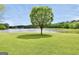 Expansive backyard with a serene lake, mature tree, and well-maintained lawn at 39 Gabrielle Ct, Stockbridge, GA 30281