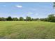 Large grassy backyard perfect for outdoor activities, offering privacy and tranquility at 39 Gabrielle Ct, Stockbridge, GA 30281