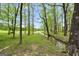 Picturesque creek flowing through a wooded area with lush greenery and tranquil surroundings at 39 Gabrielle Ct, Stockbridge, GA 30281