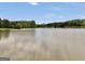 A view of a tranquil pond with lush greenery in the background, creating a picturesque setting at 39 Gabrielle Ct, Stockbridge, GA 30281