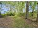 A path through a lush wooded area, highlighted by verdant trees and natural undergrowth at 39 Gabrielle Ct, Stockbridge, GA 30281