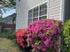 Lush landscaping with blooming bushes around a window of the home at 411 Sherrels Frd, Peachtree City, GA 30269