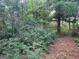 Secluded backyard featuring dense foliage, offering privacy and a natural setting at 30 Laurel Way, Covington, GA 30016