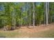 Expansive wooded backyard with mature trees provides shade and privacy at 115 W Wind Ct, Tyrone, GA 30290