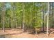 Expansive wooded backyard with mature trees provides shade and privacy at 115 W Wind Ct, Tyrone, GA 30290