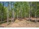 Beautiful wooded lot with mature trees offering privacy and a natural setting for a custom home at 115 W Wind Ct, Tyrone, GA 30290