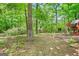 Backyard with playhouse and ladder with mature trees in a wooded lot at 482 E Lake Rd, Mcdonough, GA 30252