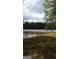 Peaceful lake view with grassy shoreline and mature trees in the background at 2467 Highway 138 Sw, Conyers, GA 30094