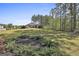 Expansive front yard featuring mature trees, landscaped beds, and a well-manicured lawn at 130 S Meadows Ridge Dr, Grantville, GA 30220