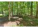 Wooded backyard featuring mature trees and sunlight at 335 Winding Stream Trl, Hampton, GA 30228