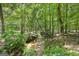 A creek flowing through a wooded area with lush vegetation, offers a peaceful natural setting at 335 Winding Stream Trl, Hampton, GA 30228