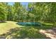 Beautiful pond surrounded by lush greenery, creating a serene and picturesque outdoor space at 335 Winding Stream Trl, Hampton, GA 30228
