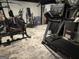 Basement gym with treadmill, elliptical, weight machine, and ample workout space at 3650 Bay Leaf Dr, Loganville, GA 30052