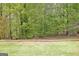 View of tree lined backyard with a wooden fence at 1619 Cascade Overlook, Peachtree City, GA 30269