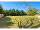 Expansive backyard featuring lush green grass and privacy-providing evergreen trees at 2354 Hamilton St, Hampton, GA 30228